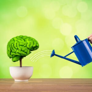 مفتاح الفكرة